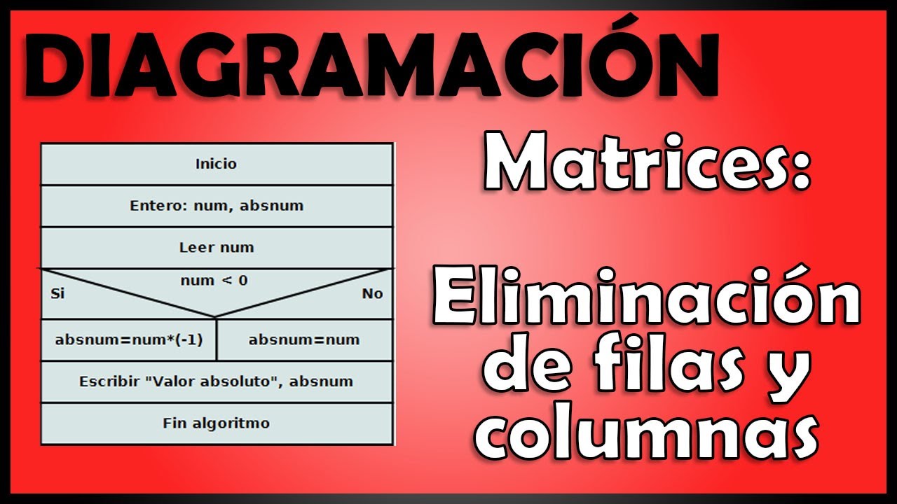 Matrices: Eliminación de filas y columnas - Diagramación