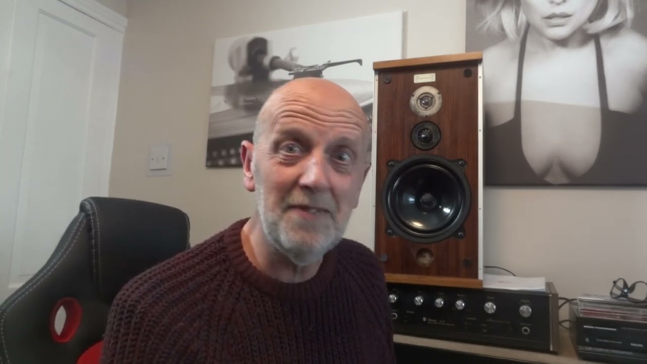Bowers & Wilkins B&W DM4 Speakers Manual Surprise ! , Well