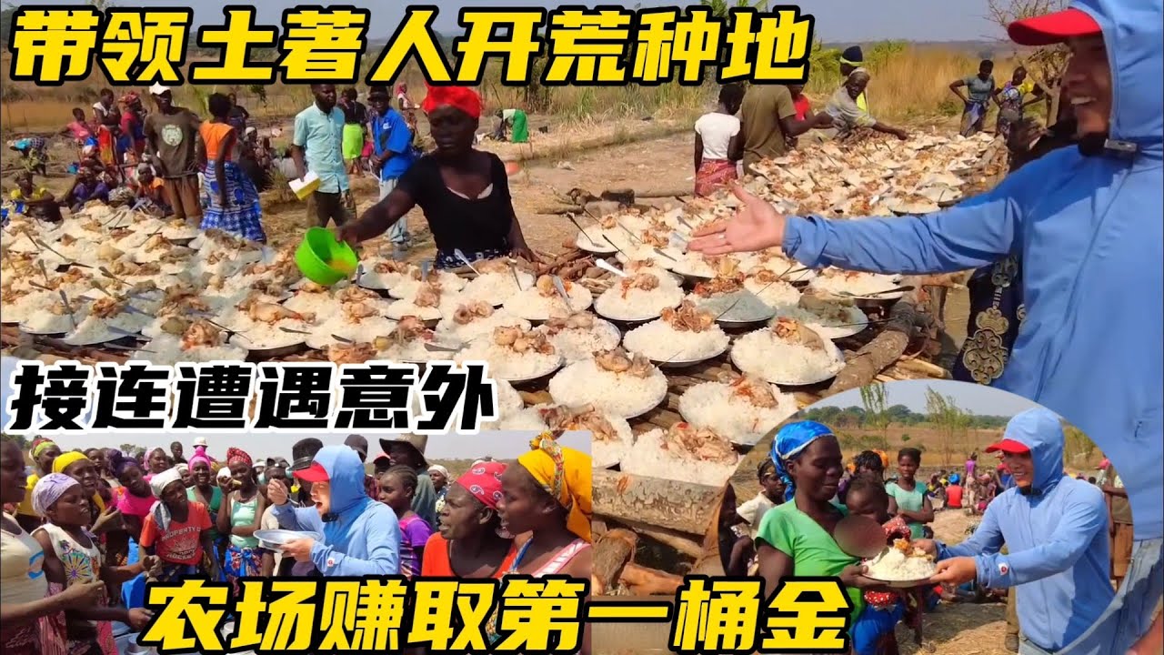 带领土著人开荒种地接连遭遇意外，农场赚取第一桶金