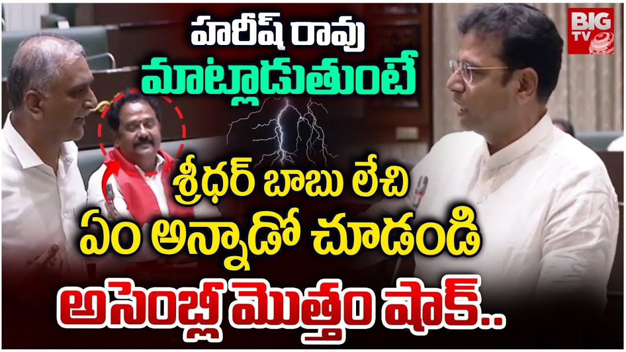 అసెంబ్లీ మొత్తం షాక్.. | Harish Rao vs Sridhar Babu | Telangana Assembly | BIG TV