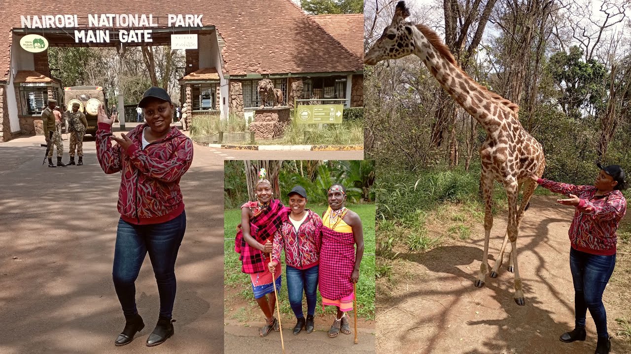 Nairobi National Park Safari Walk: A Close Encounter with Kenya's Wildlife