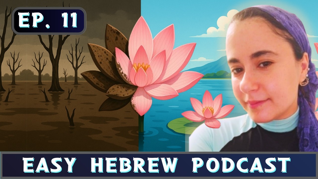 Ep. 11 – Learn Hebrew with optimistic news 🎉✨ | חדשות טובות בעברית קלה | Simply Talk Hebrew