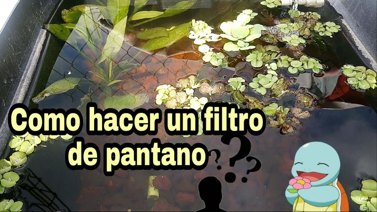 Filtro de pantano/como hacer un filtro de pantano