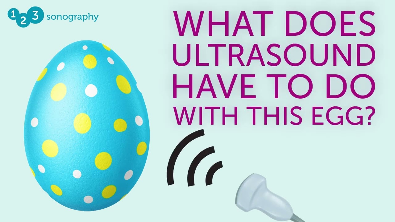 What does this egg have to do with ultrasound? #123sonography #ultrasoundeducation