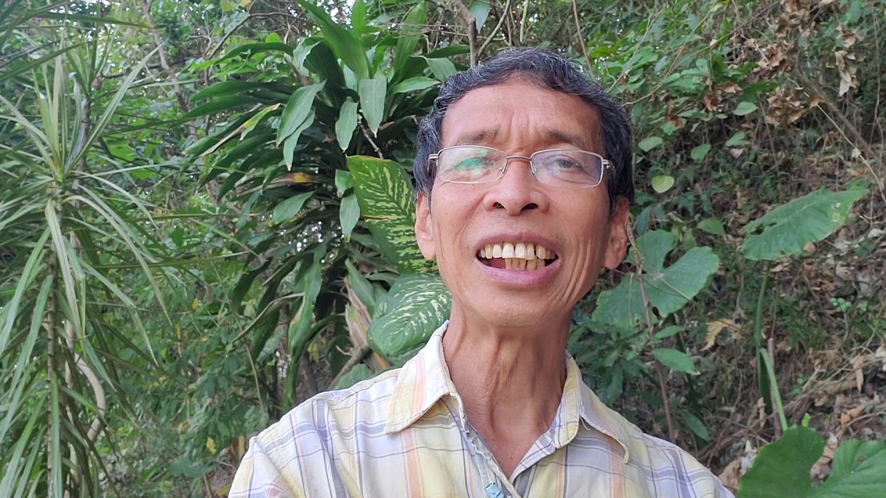 修和父母走上幸福路