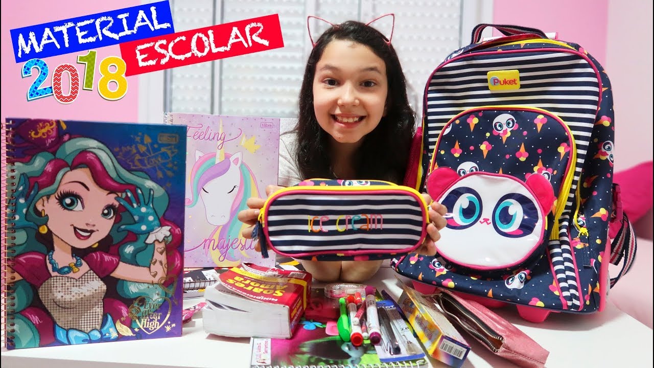 ORGANIZANDO MEU MATERIAL ESCOLAR 2018 | Luluca