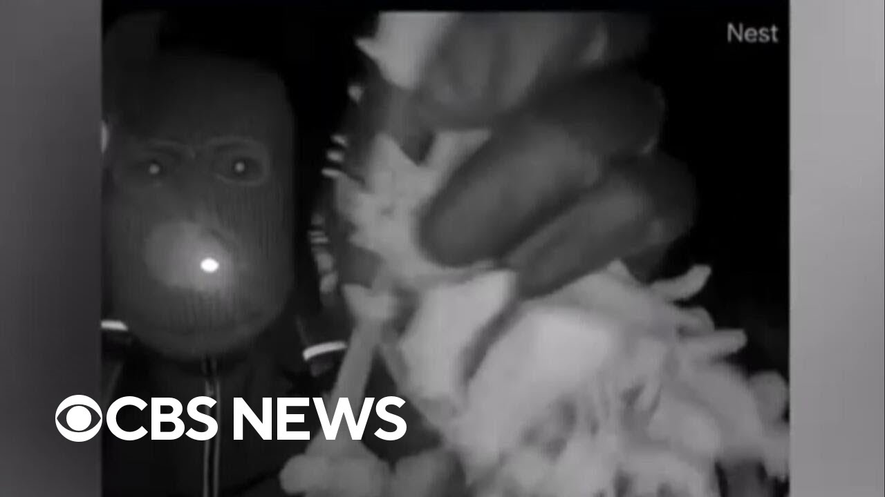 Former NYPD detective analyzes new photos, videos in Nancy Guthrie’s disappearance