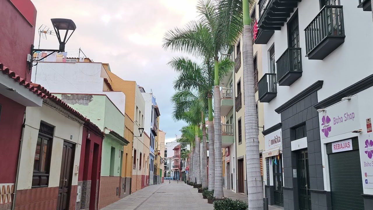 Early Morning Puerto de la Cruz - Bike Ride Photos 31 01 25 - Tenerife