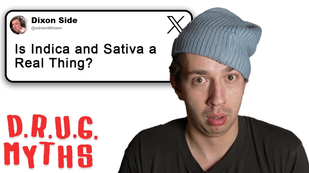 Debunking Drug Myths: Volume 2