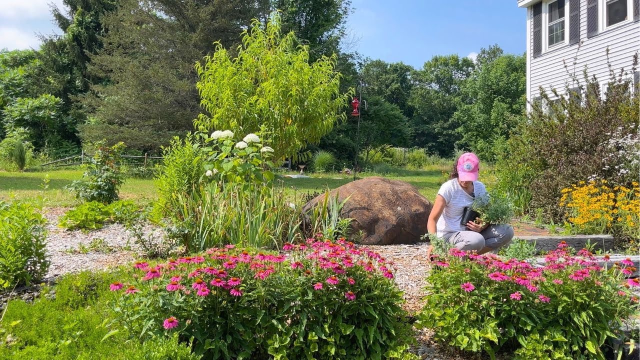 Flowerbed Maintenance | And Planting For Instant Impact