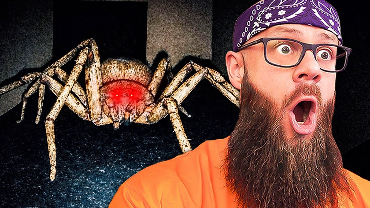 🔥Testuje *HUNTSMAN* To 