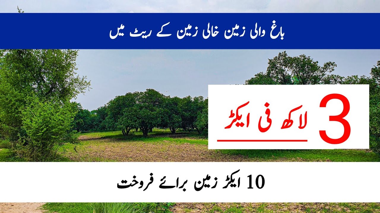 land for sale in Sargodha Punjab Pakistan  | Agriculture land for sale