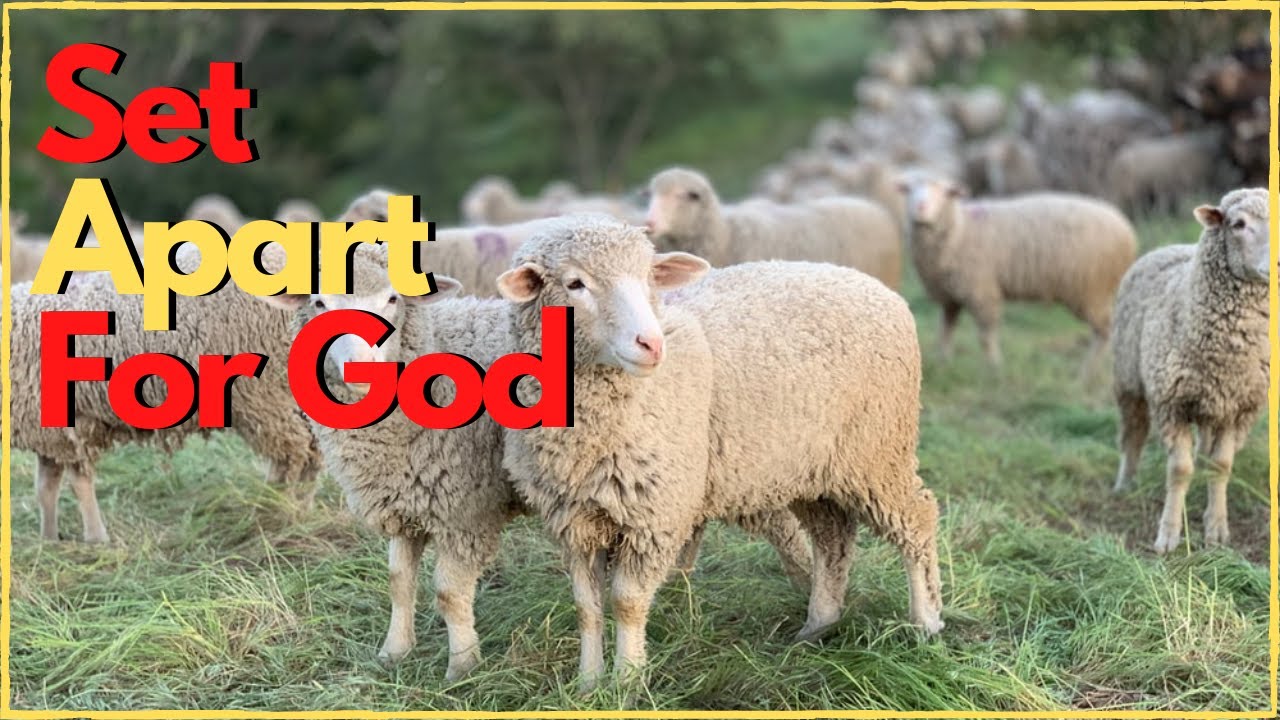 Set apart for God