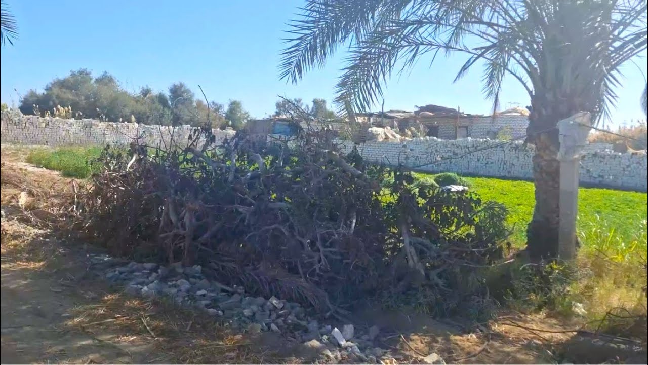 مزرعة للبيع في وادي النطرون 5 فدان ملك نهائي من المحافظة مكتملة الامكانيات