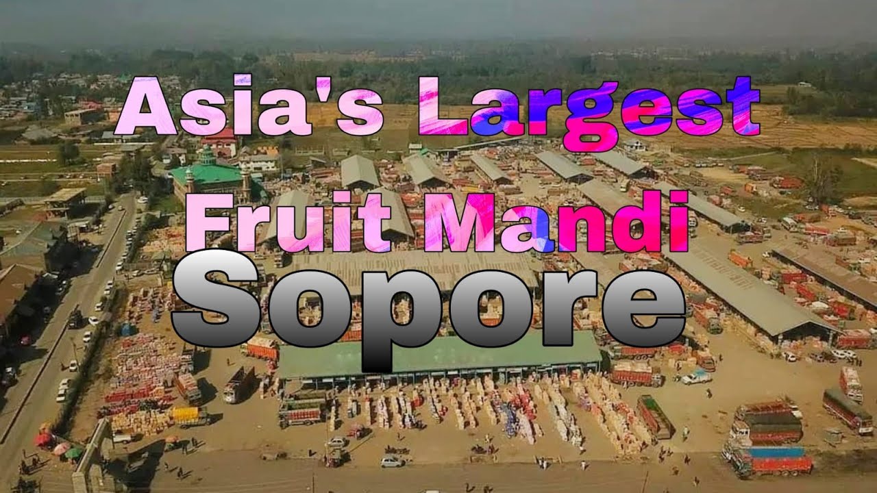 Asia&rsquo;s second-largest fruit mandi in Kashmir abuzz with buyers from across India