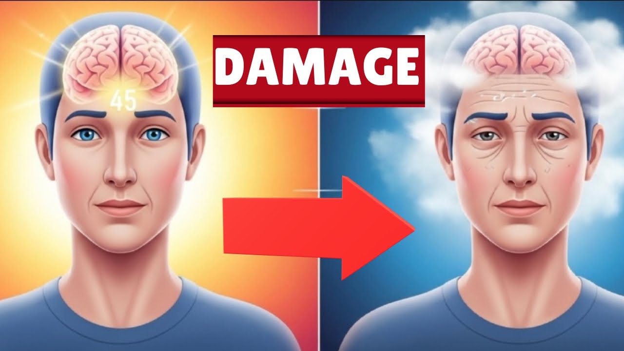 What happened to your brain if you drink alcohol 