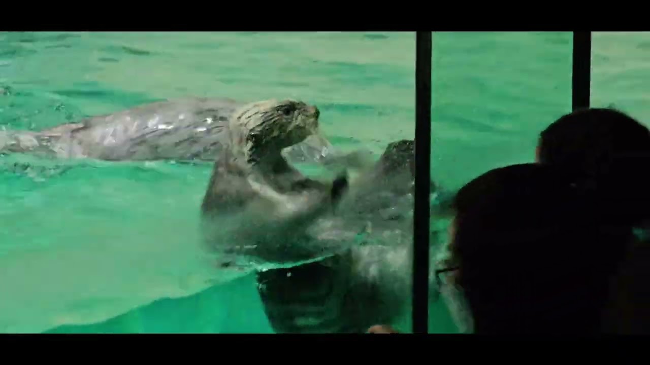 鳥羽水族館2