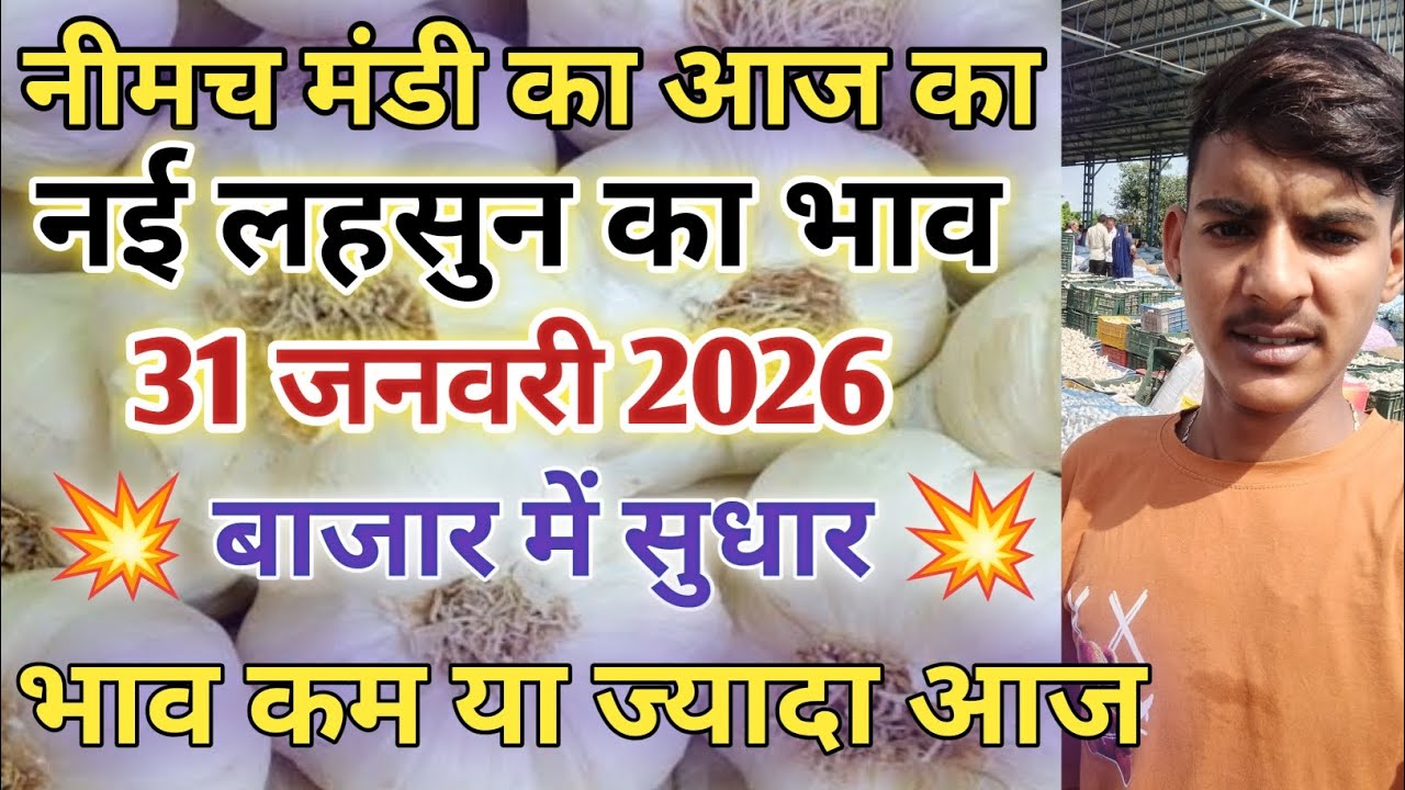 नीमच मंडी आज का नई लहसुन का भाव  / Neemuch mandi bhav today /Neemuch mandi lahsun bhav