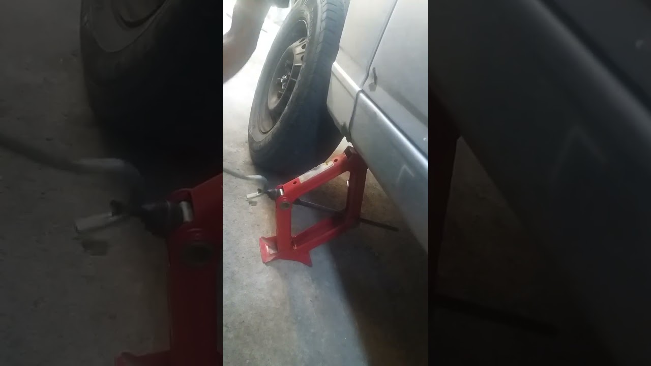 macaco sanfona esse macaco &eacute; top!!