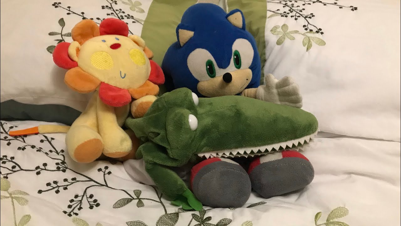 Sonics pet 2