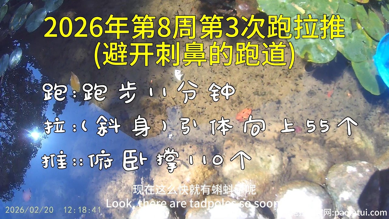 2026年第8周第3次跑拉推