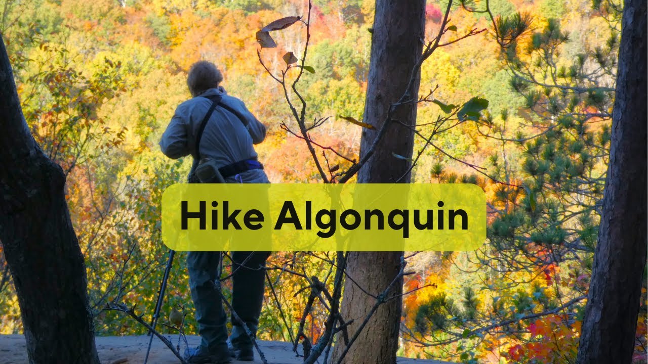 Провинциальный парк Алгонкин — лучшие маршруты для пеших прогулок осенью