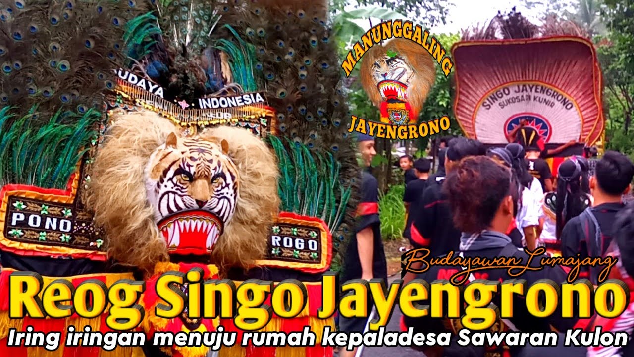 Reog Iring-Iring Menuju rumah Bapak kepala desa Sawaran Kulon Lumajang dan Reog Masuk Terop