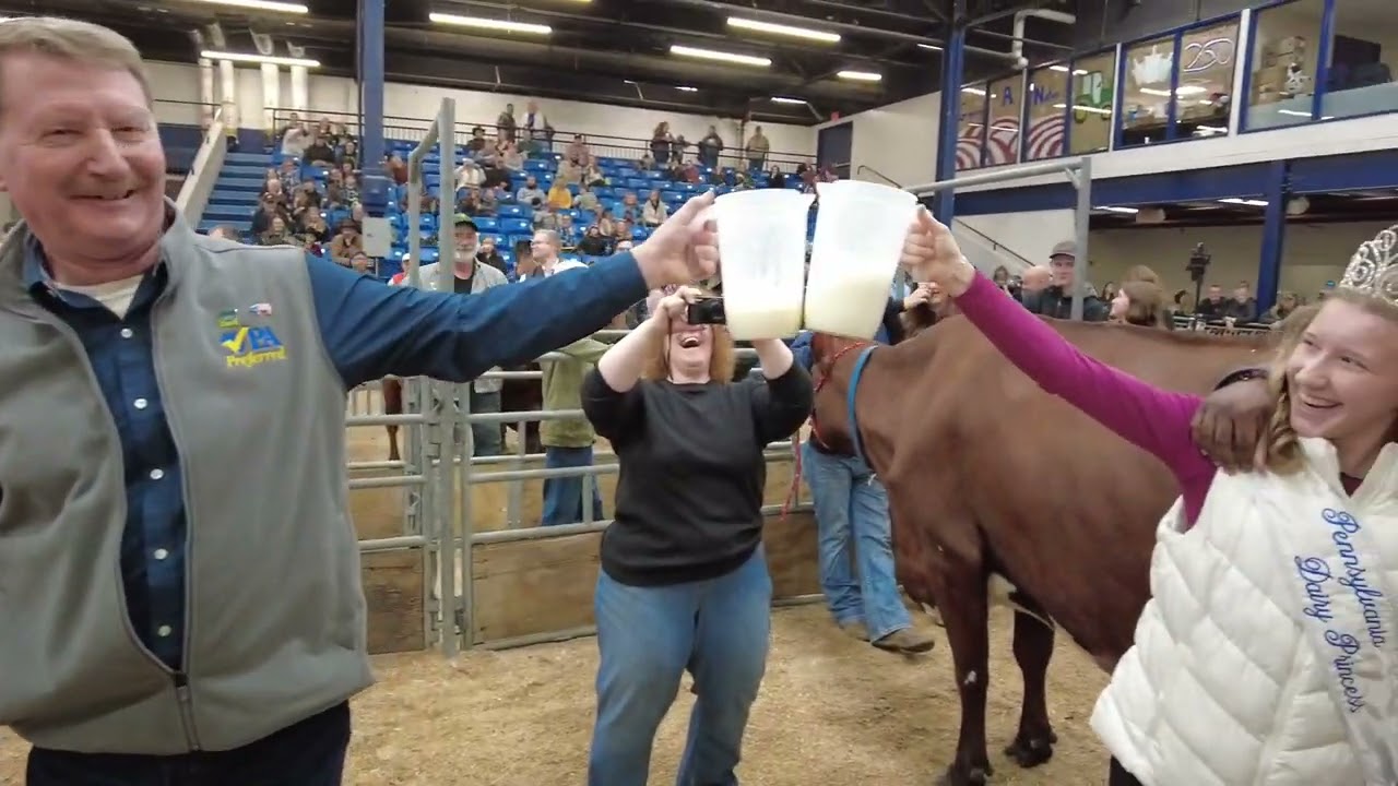 PA Farm Show 2026 Celebrity Cow Milking Contest