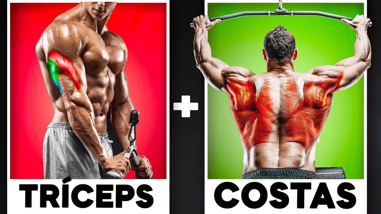 Ficha de Treino de TR&Iacute;CEPS e COSTAS Completa (Exerc&iacute;cios + S&eacute;ries)