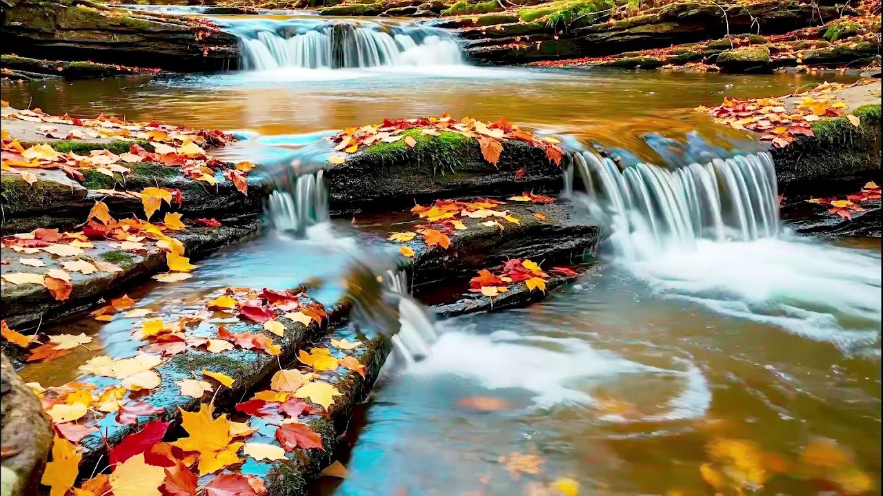 Tranquil River Sound for Deep Sleep | White Noise Therapy for Relaxation & Healing