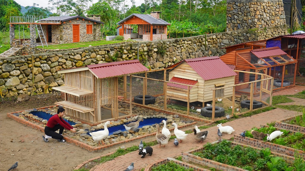 Building a Smart Goose Coop From Wood & Mesh –Growing a Farm Full of Geese, Rabbits & Poultry