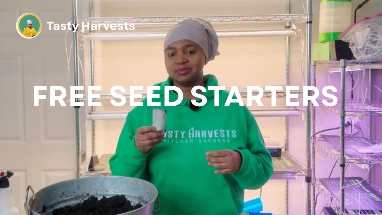 Start Seeds Using Toilet Paper Rolls (Easy Beginner Method)