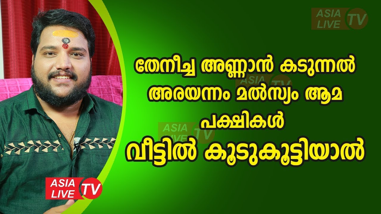 വീട്ടിൽ തേനീച്ച അണ്ണാൻ കടുന്നൽ കാക്ക പക്ഷികൾ കൂടുകൂട്ടിയാൽ | 9567955292 | Asia Live TV Malayalam