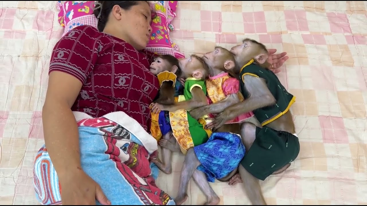 Sweet Dream!! Mom Accompany 4 Siblings To Sleep With Softly Comfort Till Falling DEEP Sleep Together