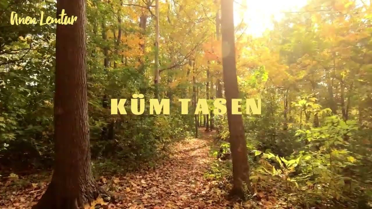 K&uuml;m Tasen| cover of my Dad's original song|