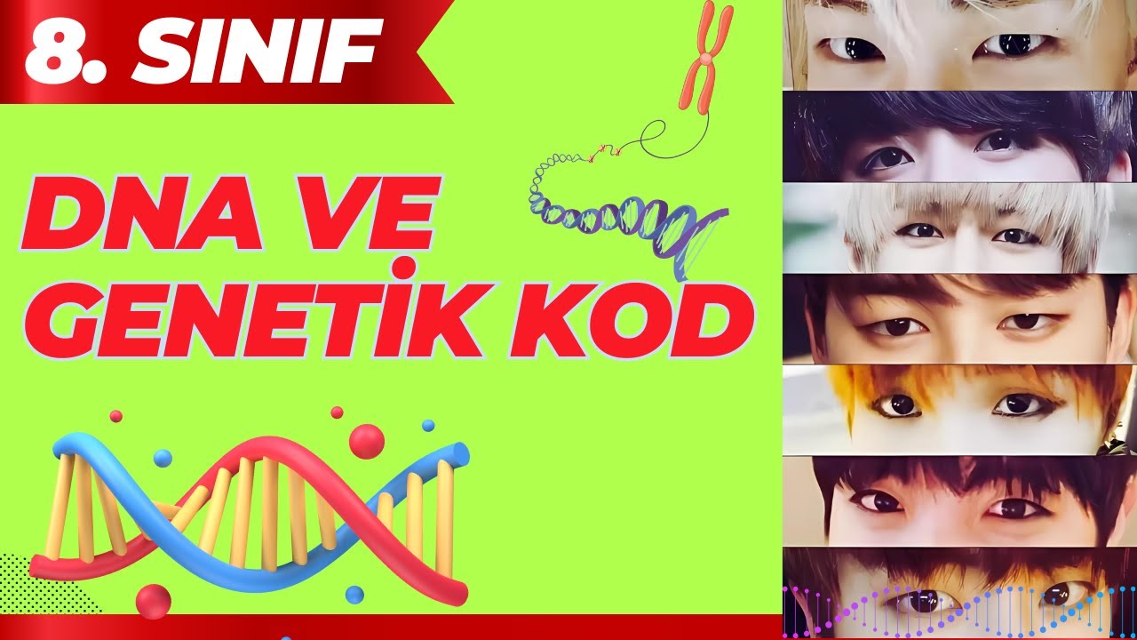 DNA VE GENETİK KOD 8. SINIF FEN BİLİMLERİ