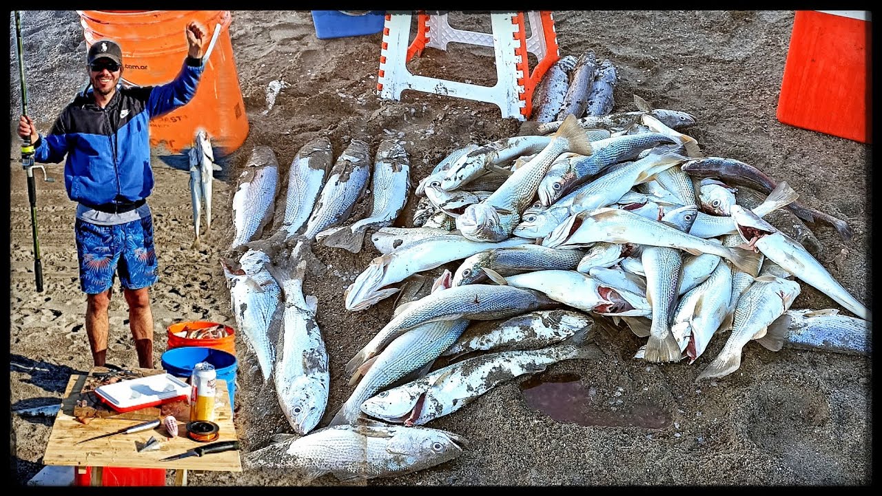 Terrible pesca de costa en Bah&iacute;a San Blas