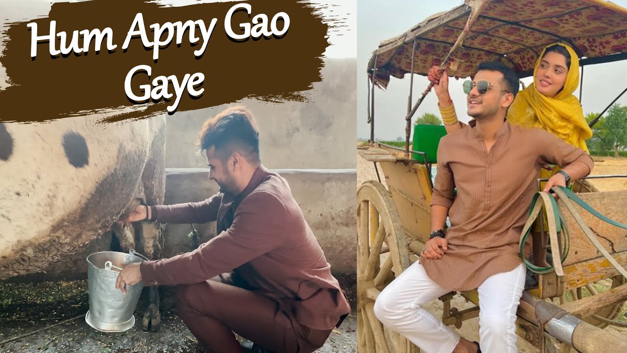 Hum Apny Gao Gaye | Aisi Tea Aj Tak Nahi Pee