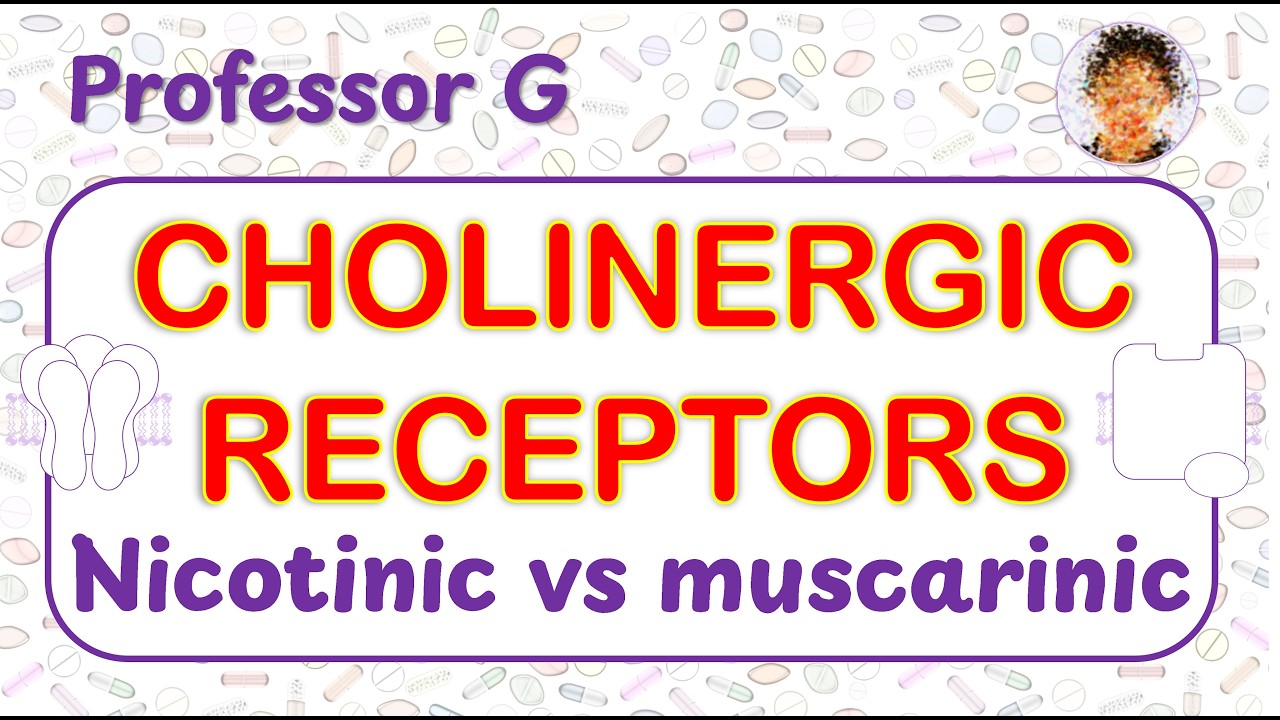 Cholinergic Receptors: Nicotinic versus Muscarinic | Pharmacology Explained