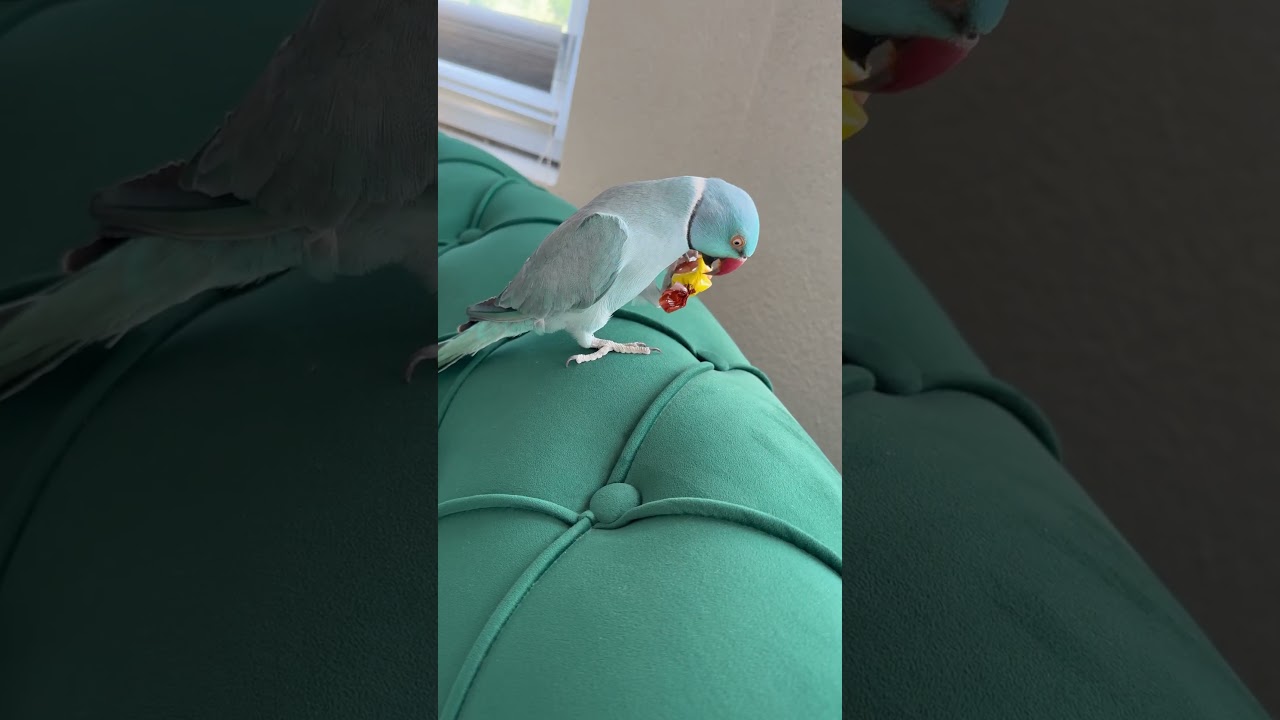 #cute