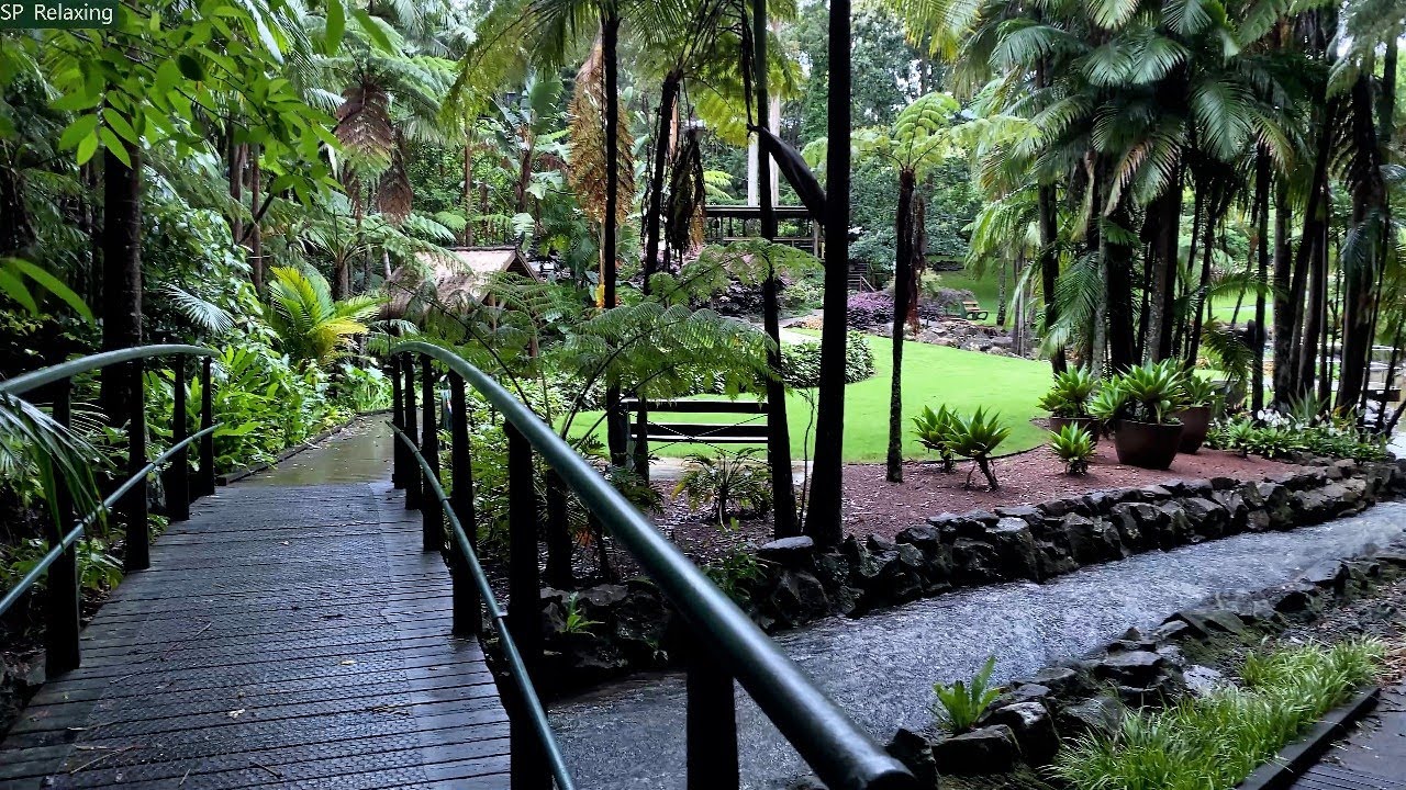 Relaxing Walk in the Rain, Umbrella and Nature Sounds of Australian town  4k