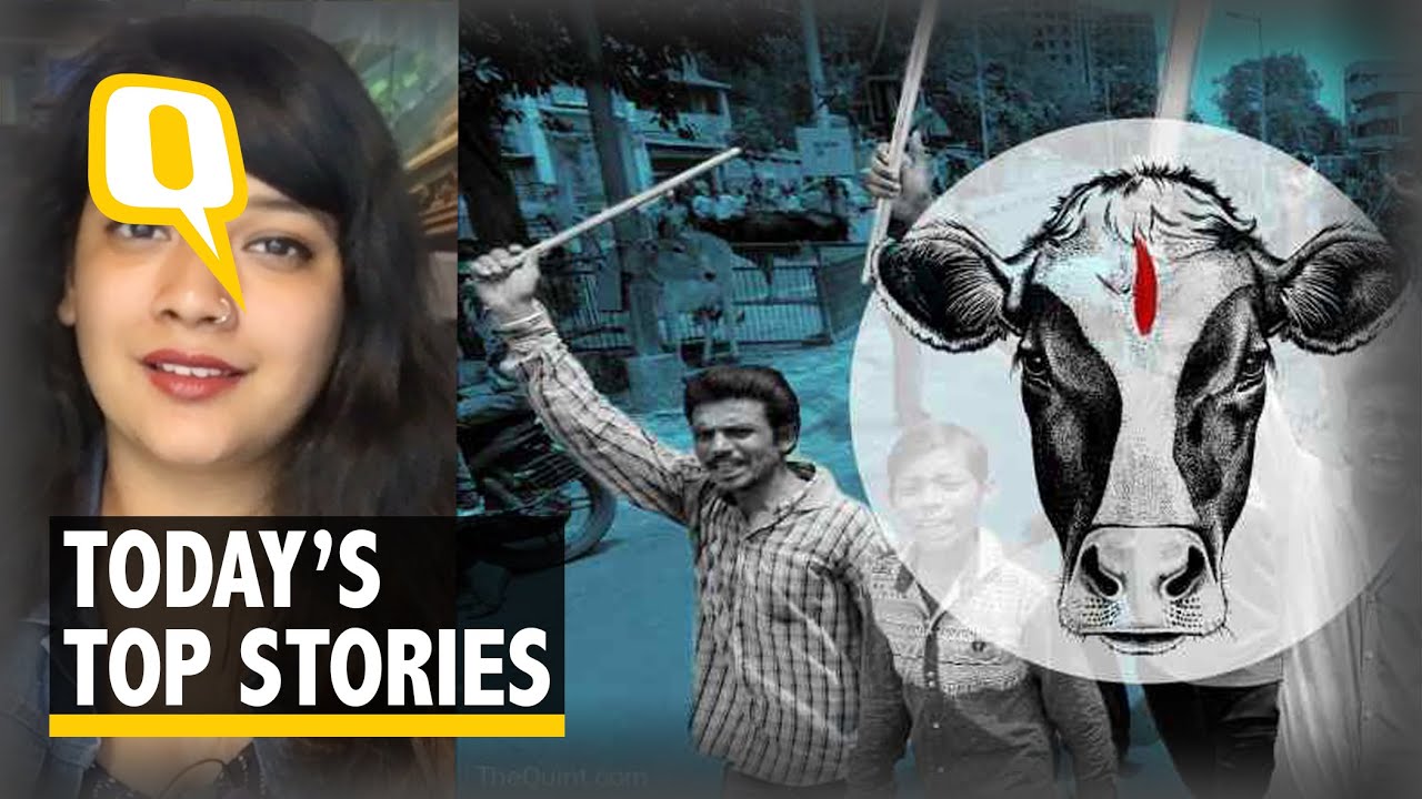 QWrap: &lsquo;No Beef, No Lynching&rsquo;, Says RSS; Maha Protests Flare | The Quint