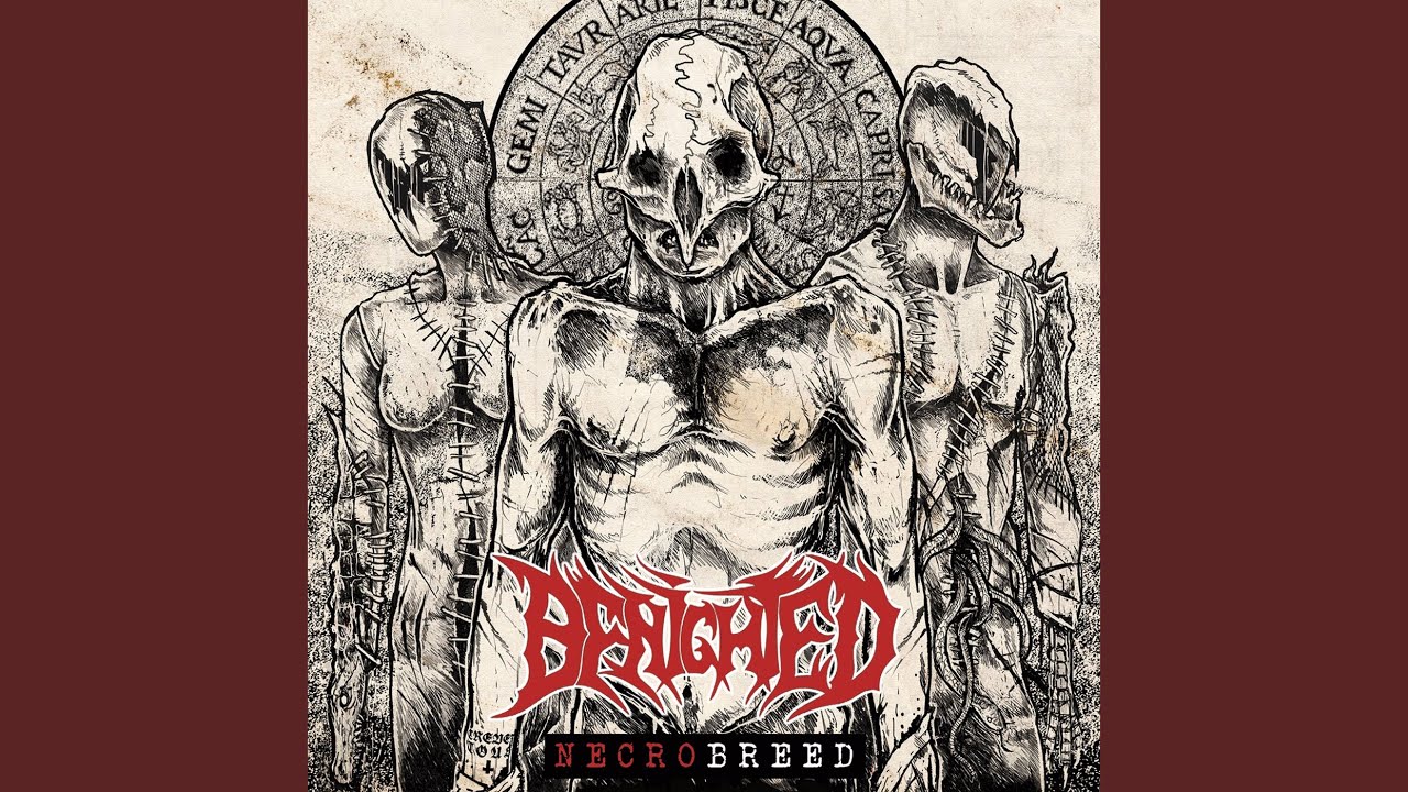 Christraping Black Metal