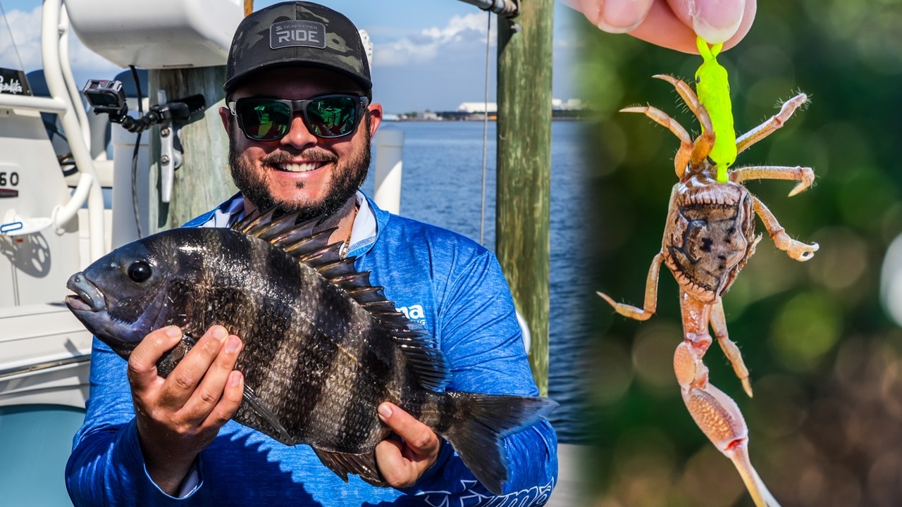 Mastering Sheepshead Fishing Techniques on the Dock