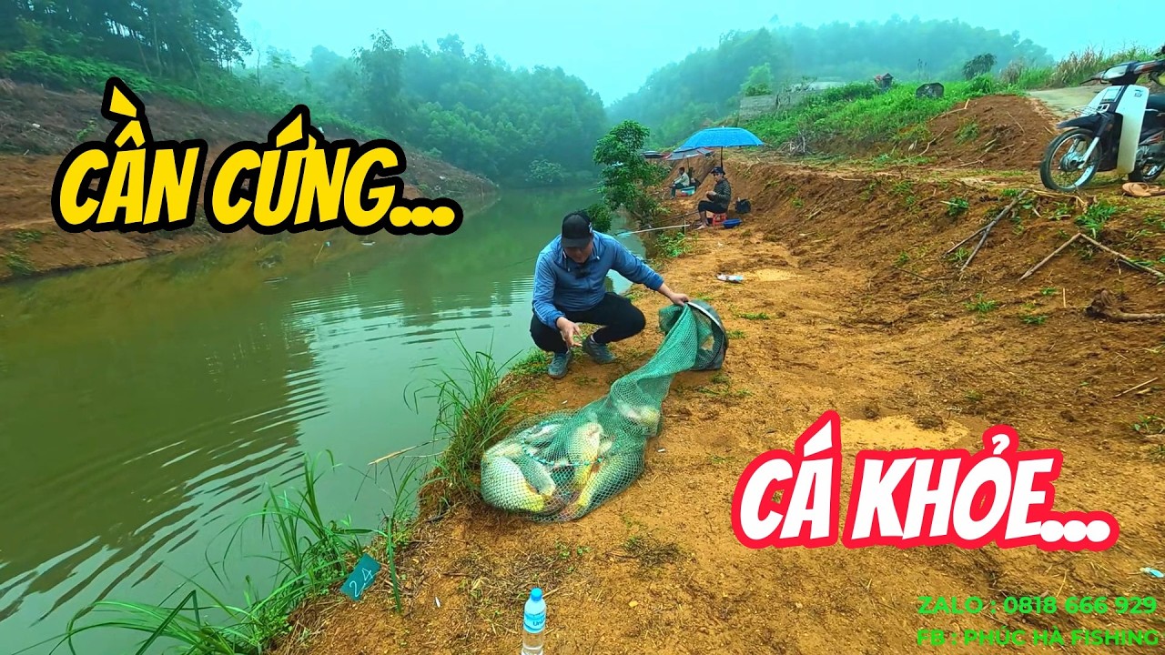 C&Acirc;U C&Aacute; CH&Eacute;P BẰNG CẦN CỨNG, GẶP Đ&Agrave;N C&Aacute; CH&Eacute;P SI&Ecirc;U KHỎE - PH&Uacute;C H&Agrave; FISHING