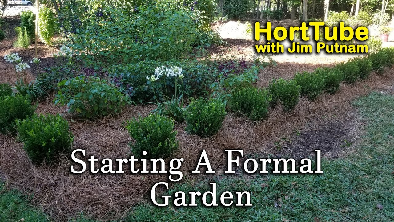 Starting a Formal Garden - Planting Baby Gem Boxwoods and Sunshine Ligustrum