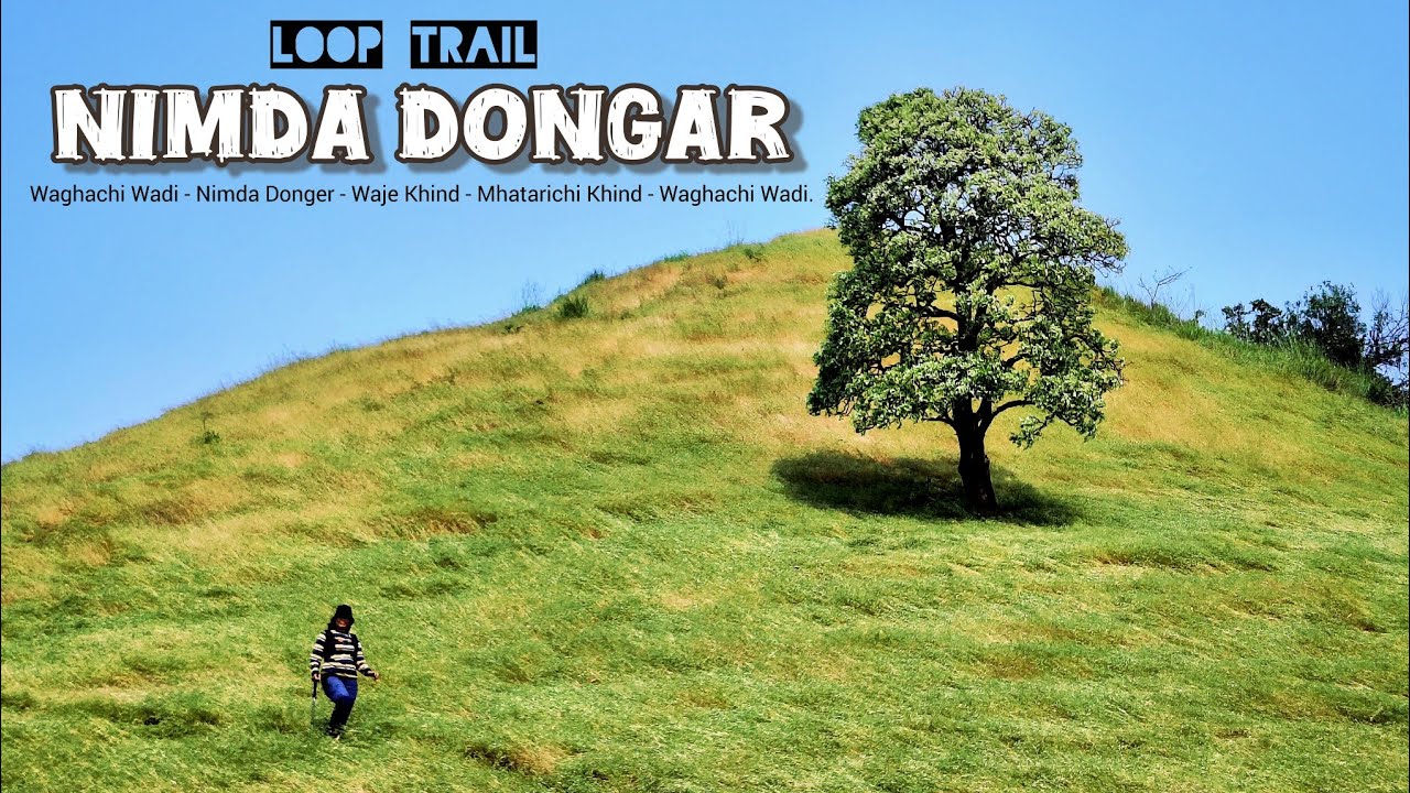 A Trek That Surprised Us &ndash; Offbeat Nimda Dongar Adventure | Trek Near Mumbai Pune