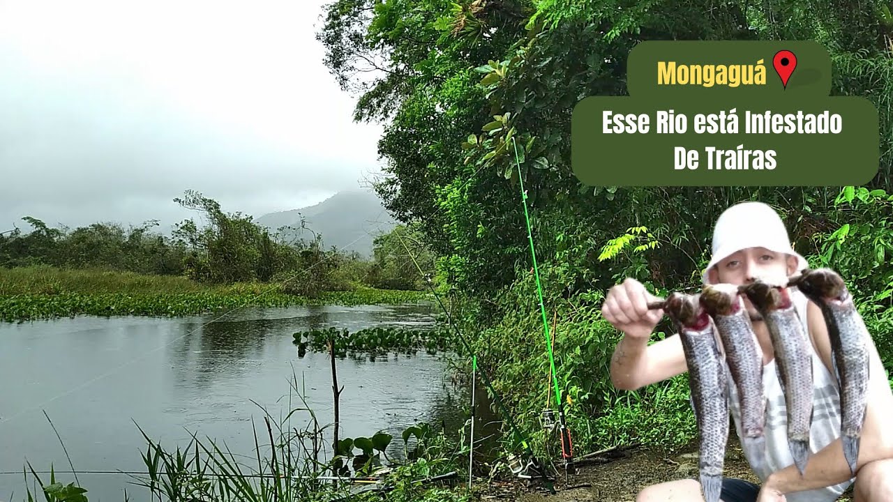 Nesse Ponto de Pesca é Ação de Traíra o dia todo - Pescaria Rio Aguapeú - Mongaguá