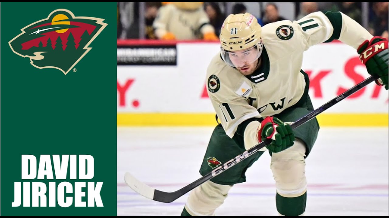 David Jiricek | 2024-25 Highlights