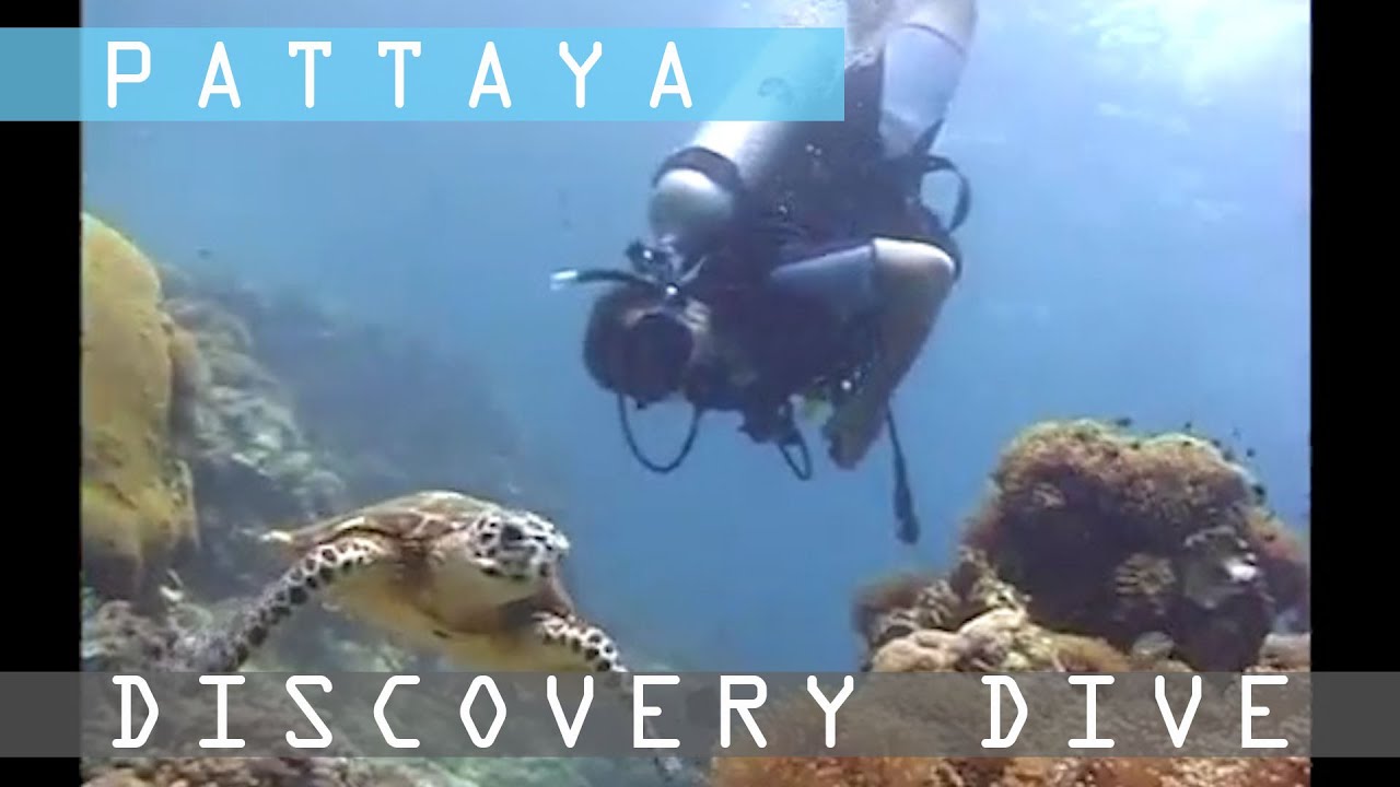 Thailand | Scuba Diving in Pattaya